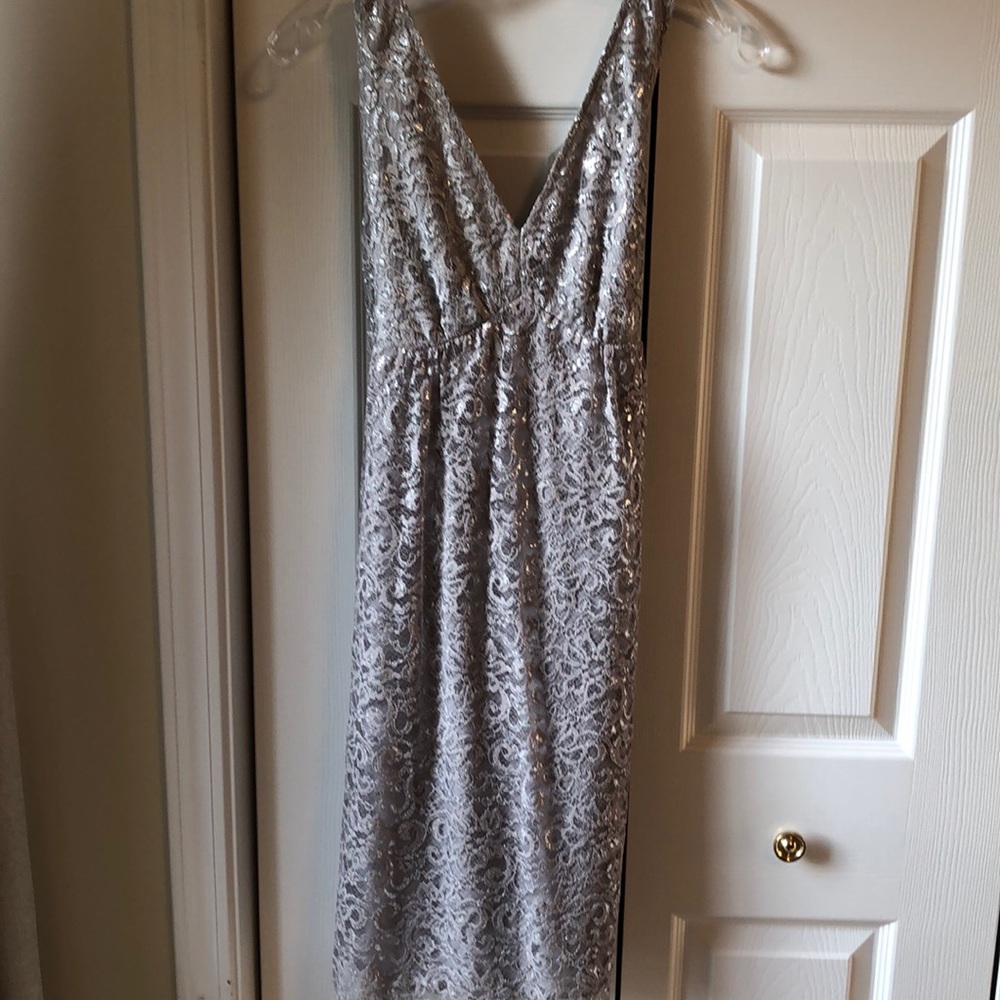 The Limited Silver dress